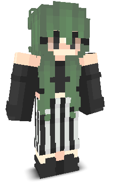 User's Minecraft appearance