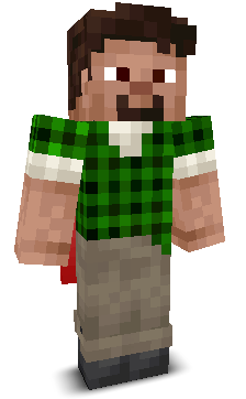 User's Minecraft appearance