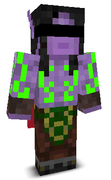 User's Minecraft appearance