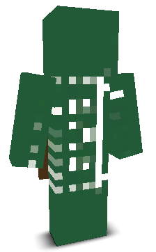 User's Minecraft appearance