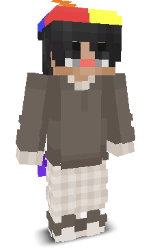 User's Minecraft appearance