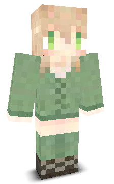 User's Minecraft appearance