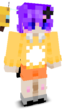 User's Minecraft appearance