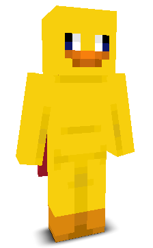 User's Minecraft appearance