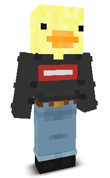 User's Minecraft appearance