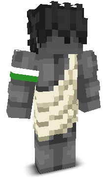 Skin gracza Skalnik_