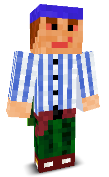 User's Minecraft appearance