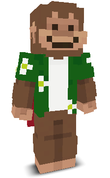 User's Minecraft appearance
