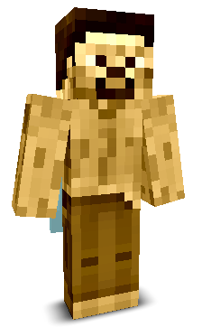 User's Minecraft appearance