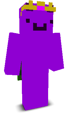 User's Minecraft appearance