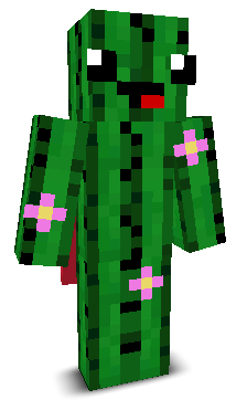 User's Minecraft appearance