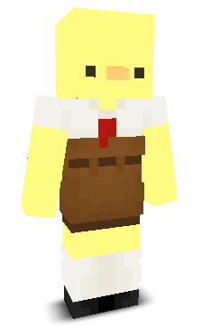 User's Minecraft appearance