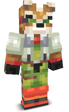 User's Minecraft appearance
