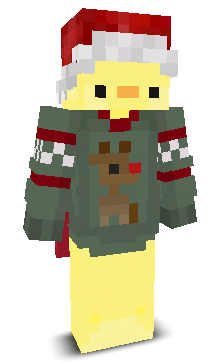 User's Minecraft appearance