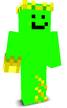 User's Minecraft appearance