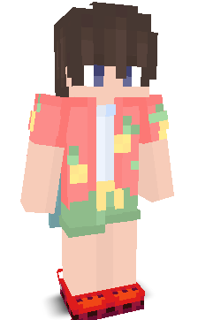 User's Minecraft appearance