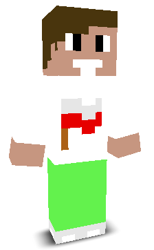 User's Minecraft appearance