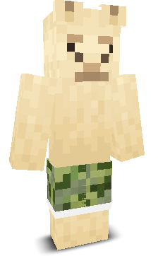 User's Minecraft appearance