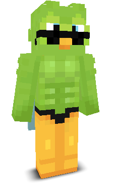 User's Minecraft appearance