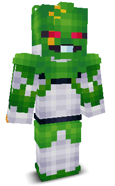 User's Minecraft appearance
