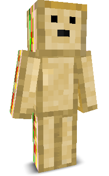 User's Minecraft appearance