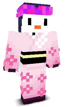 User's Minecraft appearance