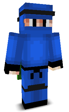 User's Minecraft appearance