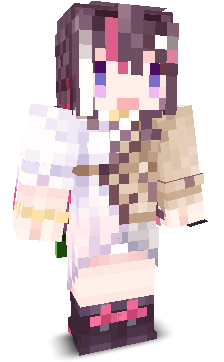 User's Minecraft appearance