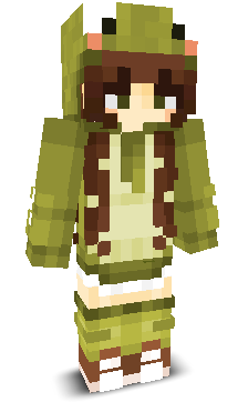 User's Minecraft appearance
