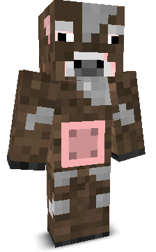 User's Minecraft appearance