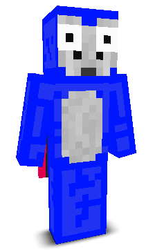 User's Minecraft appearance
