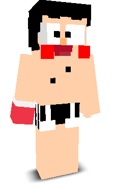 User's Minecraft appearance