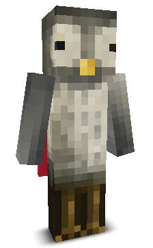 User's Minecraft appearance