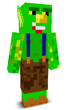 User's Minecraft appearance