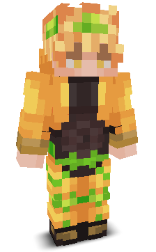 User's Minecraft appearance