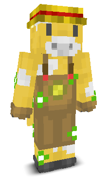 User's Minecraft appearance