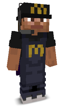 User's Minecraft appearance
