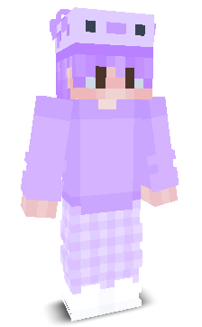 User's Minecraft appearance