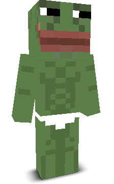 User's Minecraft appearance