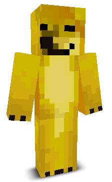 User's Minecraft appearance