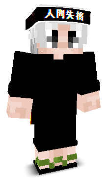 User's Minecraft appearance