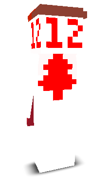 User's Minecraft appearance