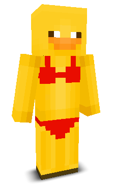 User's Minecraft appearance