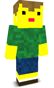 User's Minecraft appearance