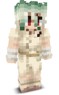 User's Minecraft appearance