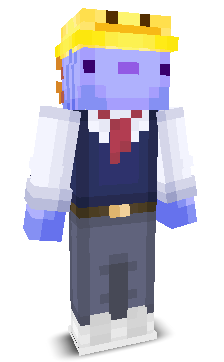 User's Minecraft appearance
