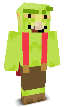 User's Minecraft appearance