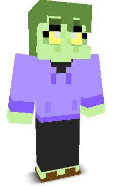 User's Minecraft appearance