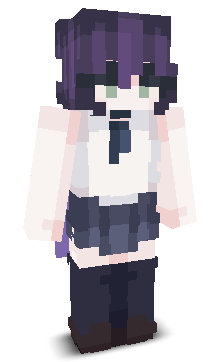 User's Minecraft appearance