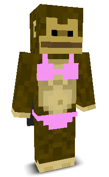 User's Minecraft appearance
